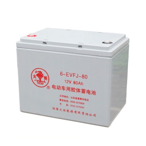 6-EVF-80蓄电池