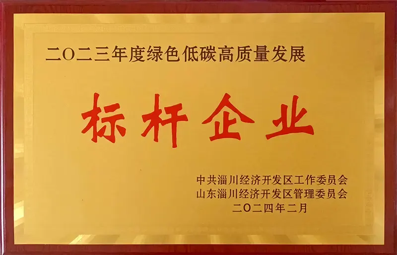 231210562dX385.webp